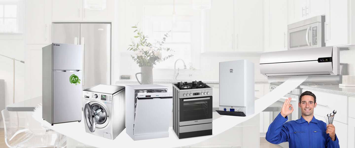 Sarıoğlan Smeg Servisi